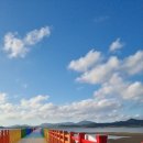 주포농장 이미지