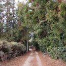 상창농장 이미지