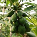 순곤농장 이미지