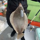 목포바지선포인트선상 | [낚시여행-목포] 2/25 목포 신세계호 도다리 낚시체험 봄 제철 선상낚시 초보도 성공한 후기