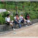 쌍룡중학교 이미지