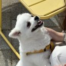 카페 삼월 이미지
