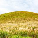 애월 하루 이미지