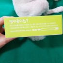 멍이랑옹이랑 이미지