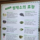 시골생삼겹우렁쌈밥 네이버블로그