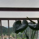 화창운수 이미지