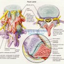 양외과의원 이미지