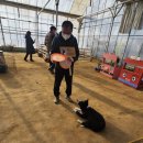 원반농장 | 아이랑 실내 나들이 / 부천 나눔농장(동물농장, 동물 먹이주기)