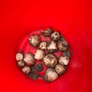 스테이더딜라잇프라이빗 이미지