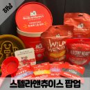 스타독스 | 하남 스타필드 스텔라앤츄이스 팝업 랜독스페스타 애견동반 가능 간식 먹자