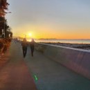 소담교차로 Daum카페