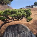 [순천 여행] 타임머신타고 시간이동 "순천드라마촬영장" 아이와 함께 방문 후기