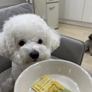 오해피댕