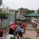 온양1동 시민로 이미지