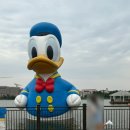 다섯 난장이 | 초저가(349,000원) 2박3일/밤출발/1일자유/일정/비용/후기/뉴진차오홀리데이호텔/황포강 유람선/동방...