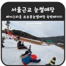 CU소학리점 | 서울근교 베어스타운 리조트 코코몽 눈썰매장 숙박패키지 이용