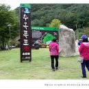 괴산트리하우스가든 티스토리
