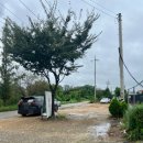 만이농장 이미지