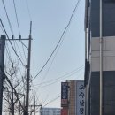 헤어오슈 | [오슈살롱 매교역점] 레이어드컷 레이어드 C컬펌 솔직후기