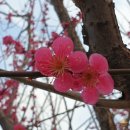 삼우청솔아파트 경로당 | [시공후기] 삼우 청솔아파트, 삼성 SHS-P71