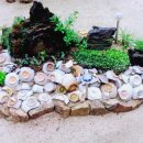 몽몽이# 이미지