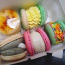 마시카롱 이미지