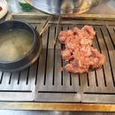 머무름 펫 이미지