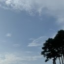 평택바베큐킹덤 | [후기] 평택 프라이빗 캠핑&바베큐장 평택바베큐킹덤