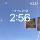 부부펫살롱 네이버블로그
