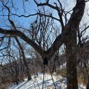 무룡고개 3쉼터 | 오르고함양 (3) 영취산, 백운산 / 무룡고개-영취산-백운산
