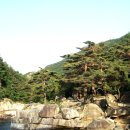 무릉계곡 5호 이미지