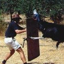 벨로시랩터 이미지