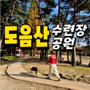 도음산 산림문화수련장 | 포항 도음산 산림문화수련장 애견동반 단풍구경 후기