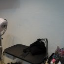 프랑소와펫(압구정점) 이미지