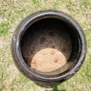 삼양청과 - 강북구 삼양로 241 | 삼양청과