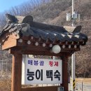 매봉골 | '매봉골 황제능이버섯' 백숙, 삼계탕, 오리백숙, 보양식 맛집~! | 남양주 주변 맛집 정보~