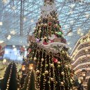 트리벅스 | 별마당 도서관 후기