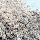 송림주유소 이미지