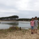 해루질 - 양산시 | 해루질