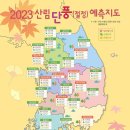 2023년 산림 단풍 이미지