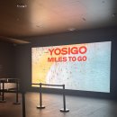 그라운드짐 | [서울 전시] 그라운드 시소 센트럴 요시고 사진전 후기 ft. 얼리버드 예매