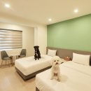 애견호텔 나무야 이미지