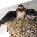 가족자동차공업사 이미지