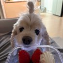 맨날천날싸게파는집 이미지