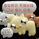 2025년 65회 간호사 국가고시 후기 🔥🔥