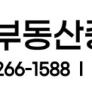 무지개부산부동산중개 이미지