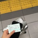 열두달펫 | oct 5 - 9 kyoto &amp; osaka