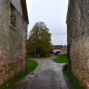 유럽농장 이미지