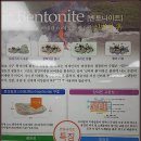 구피염색방