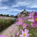 만날근린공원 이미지
